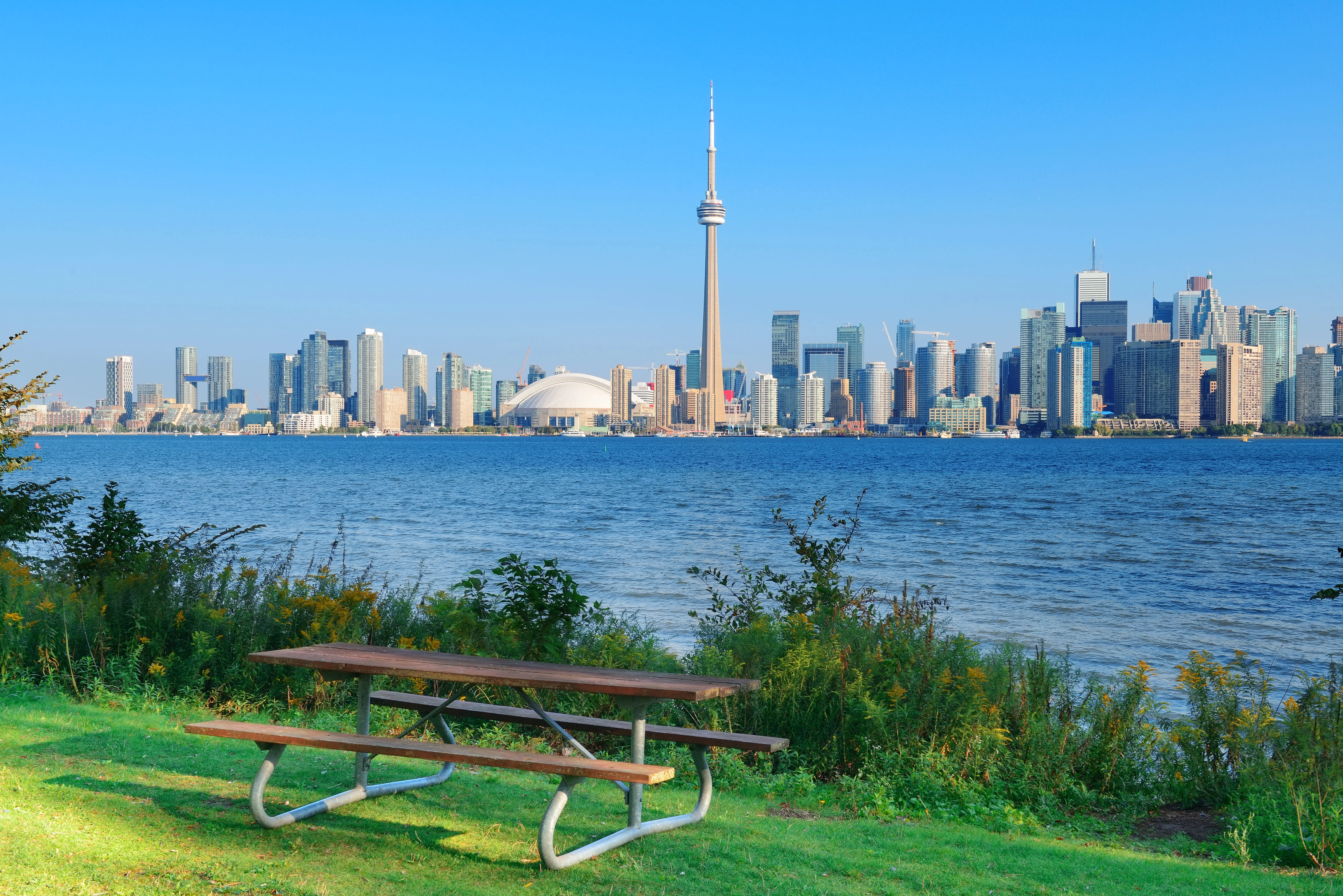 Vista de la CN Tower, Toronto, desde una isla separada por un río